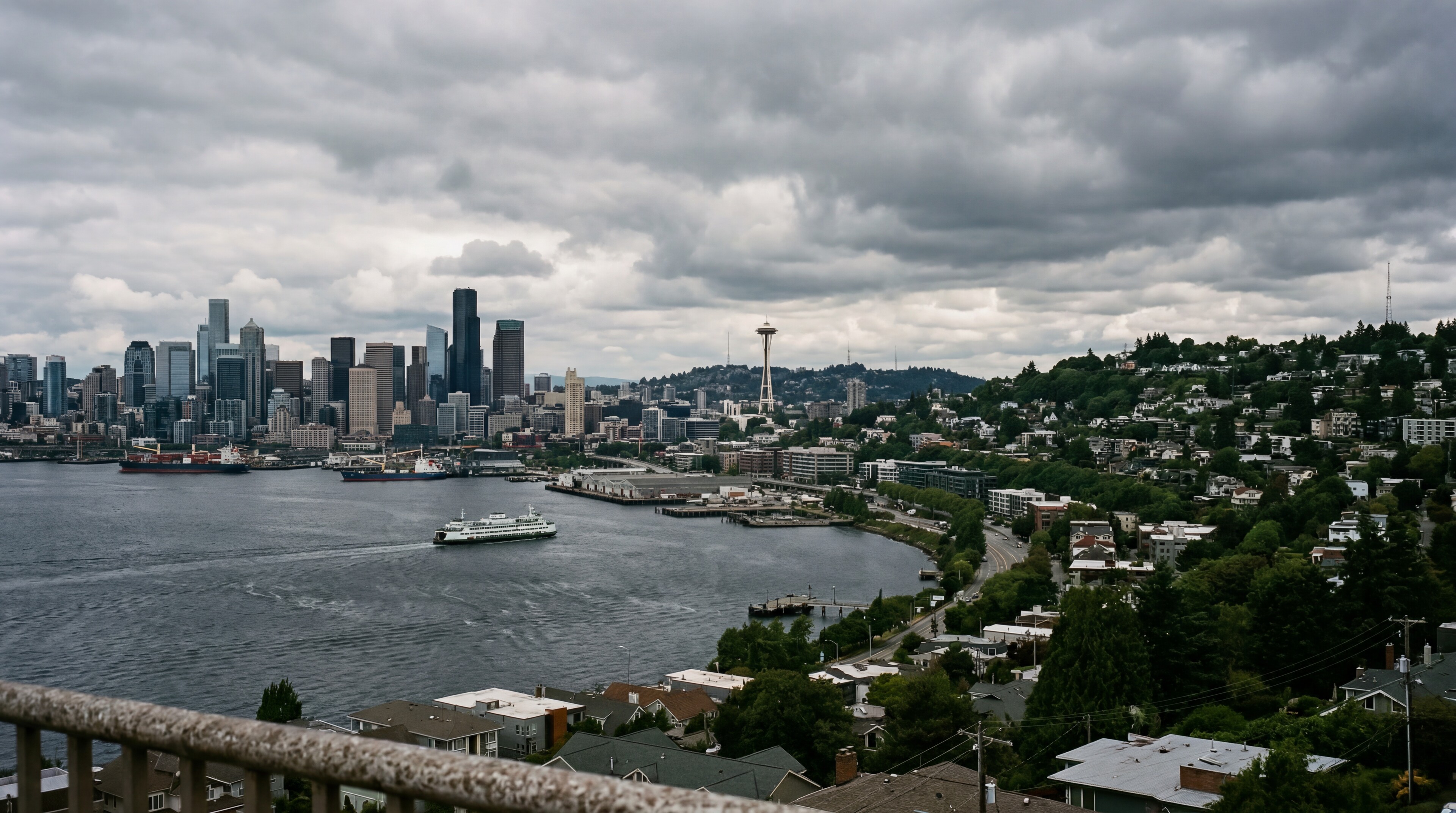 Professional movers in Seattle, WA